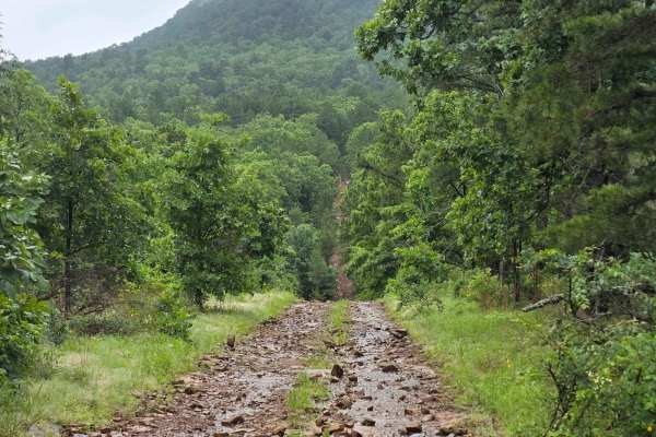 West Boundry Trail