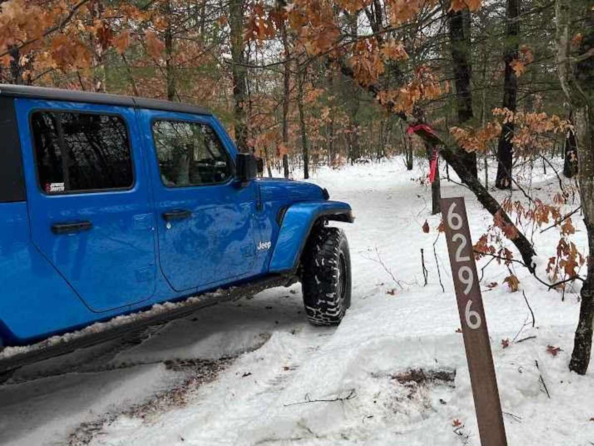 NFS 6296 trail photo