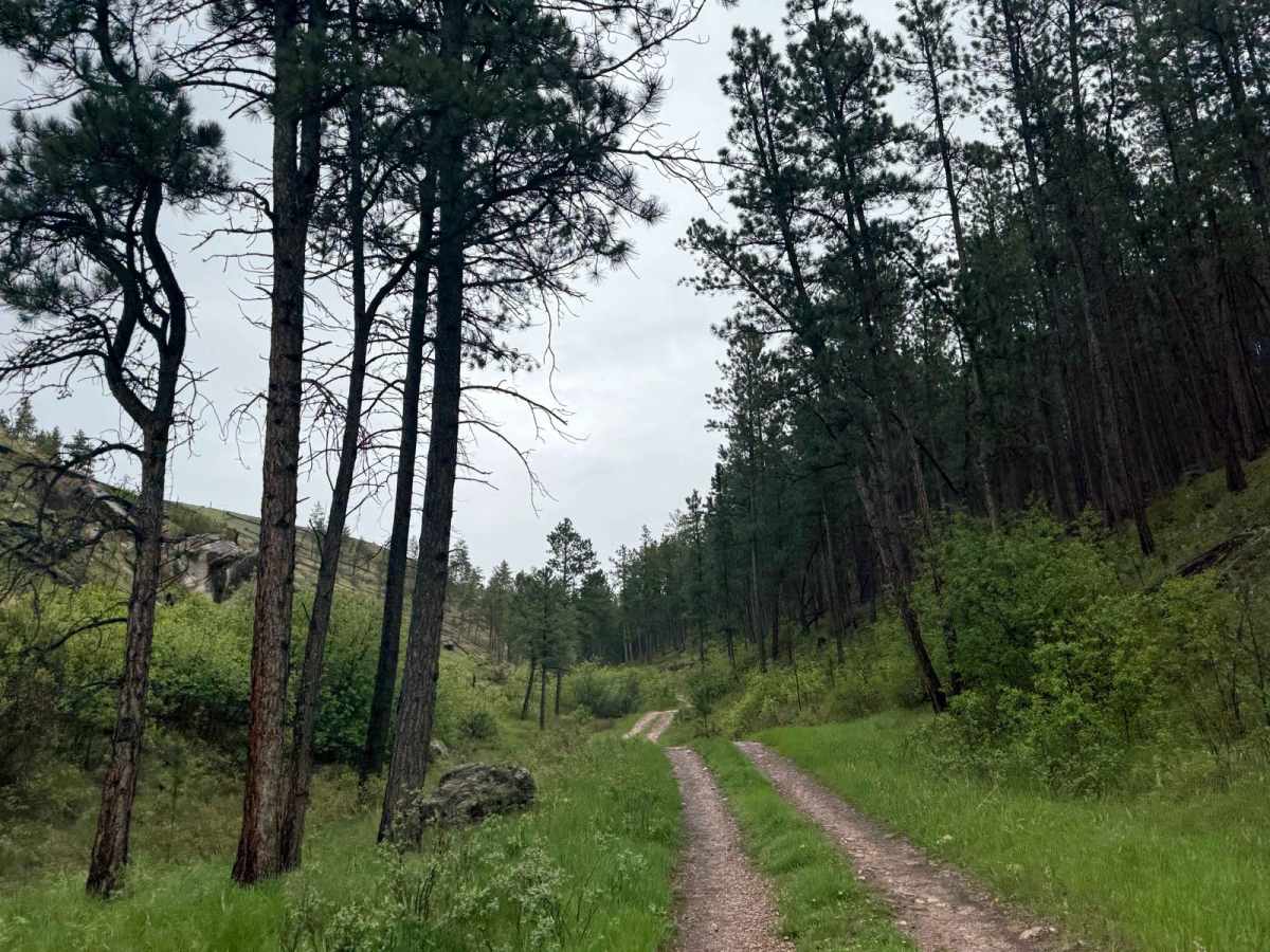 Barrel Springs Br 2B photo 3