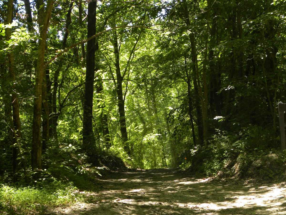 Trail 2C(intermediate) photo 5