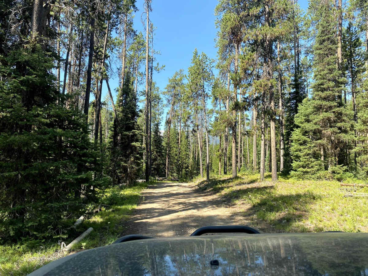 Sunday Mine photo 4