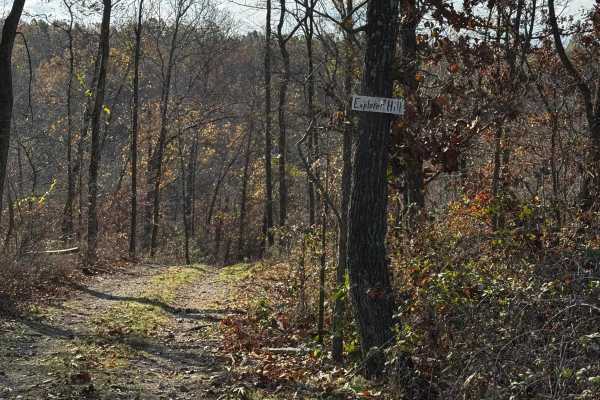 Explorer Hill