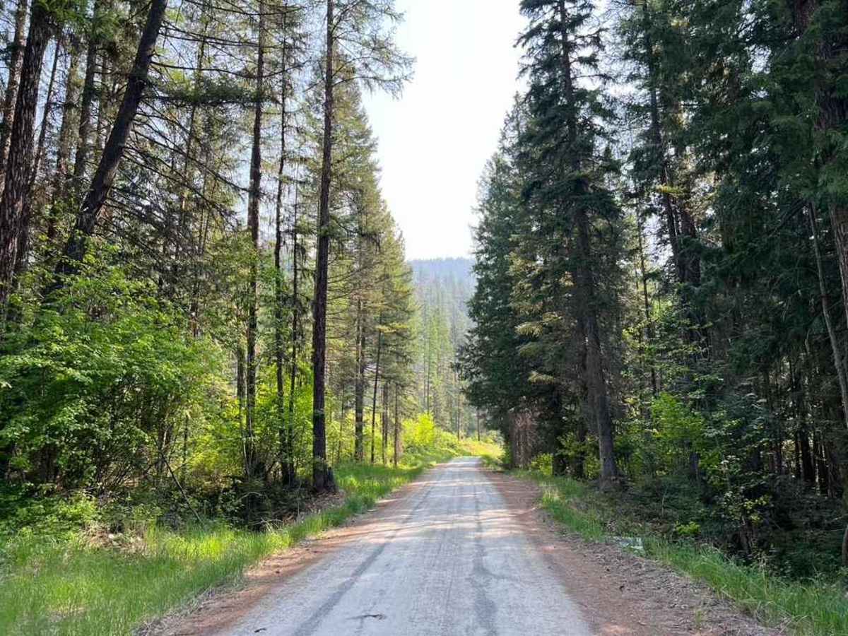 Six Mile Road (457) trail photo