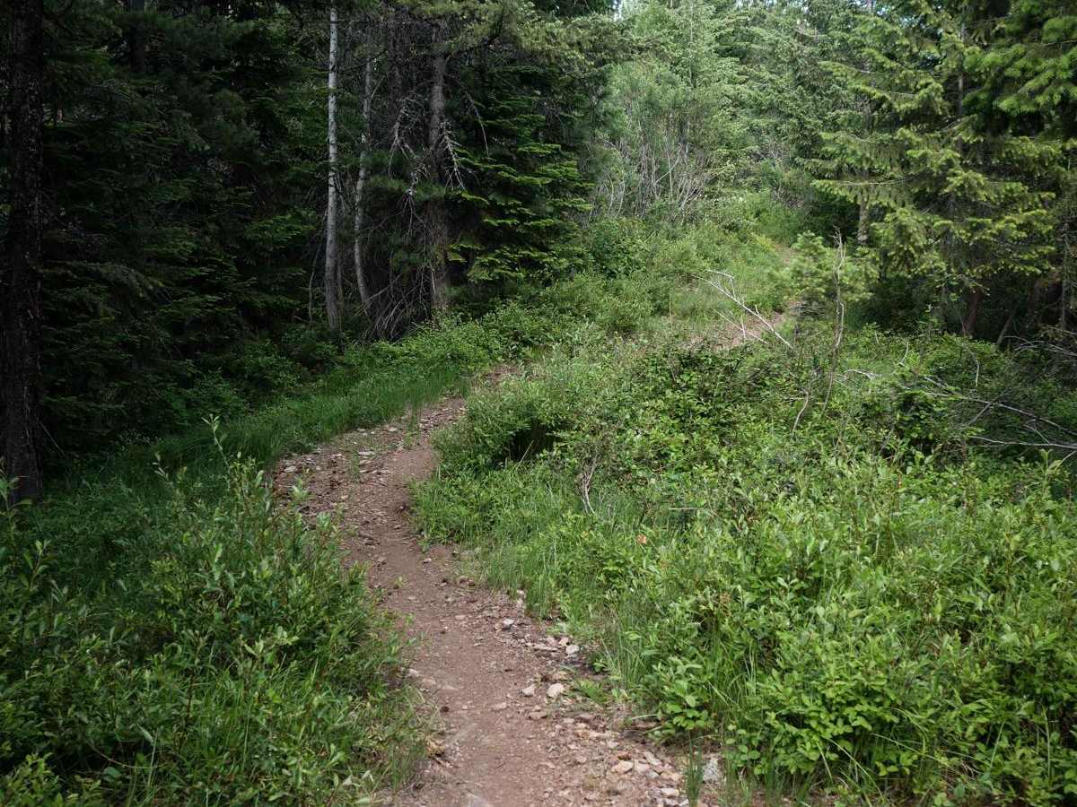 Ames Ridge NRT photo 3