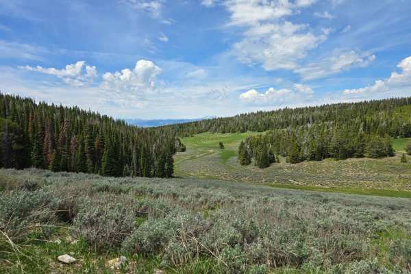 Stoddard Creek to Indian Creek Butte