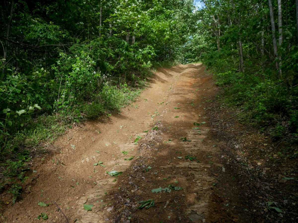 RV5 photo 6