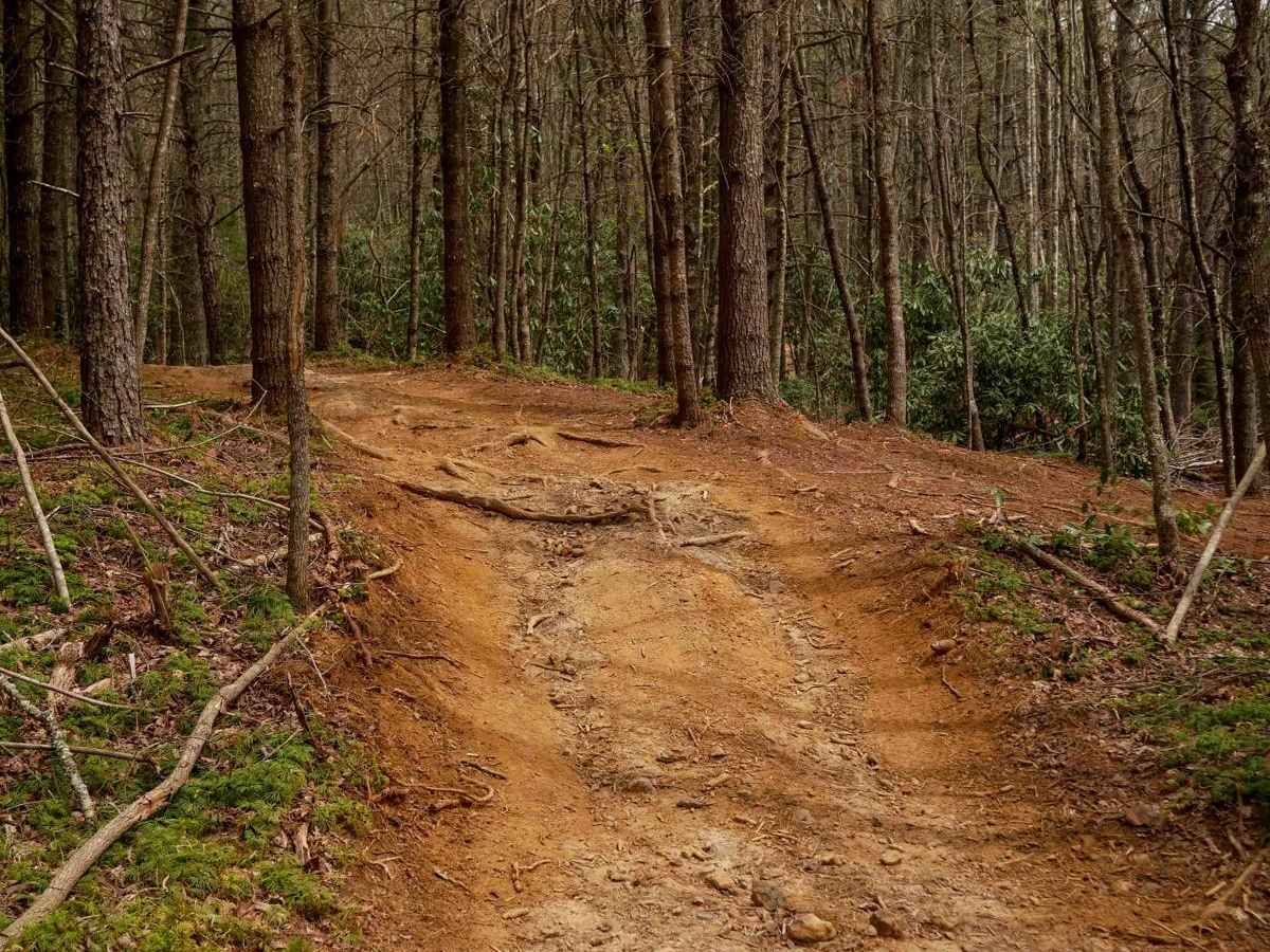 117 trail photo