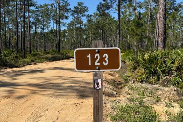 Briar Patch Road - FS 123 South