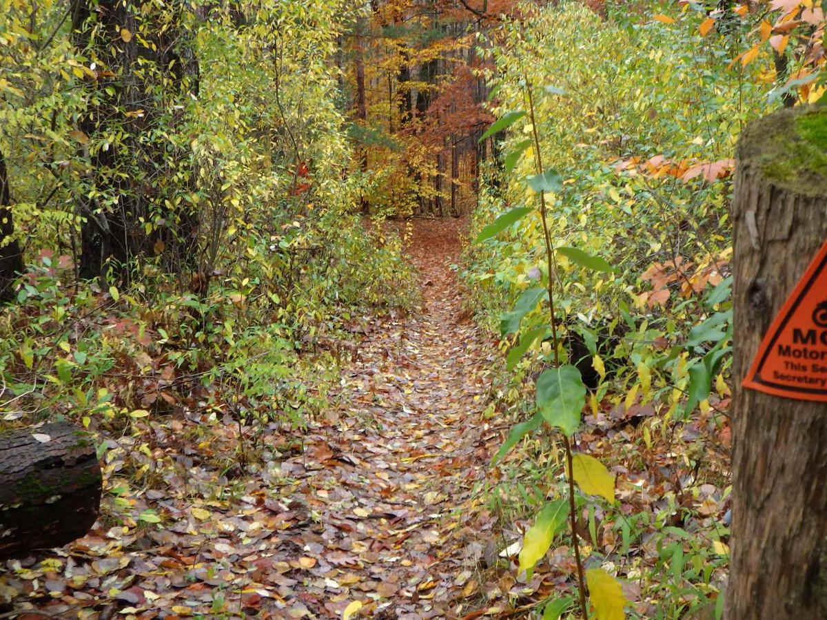 Big O - West MCCCT trail photo