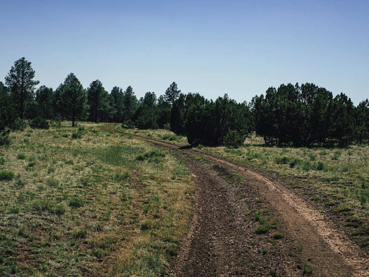 Old 714 Road photo 2