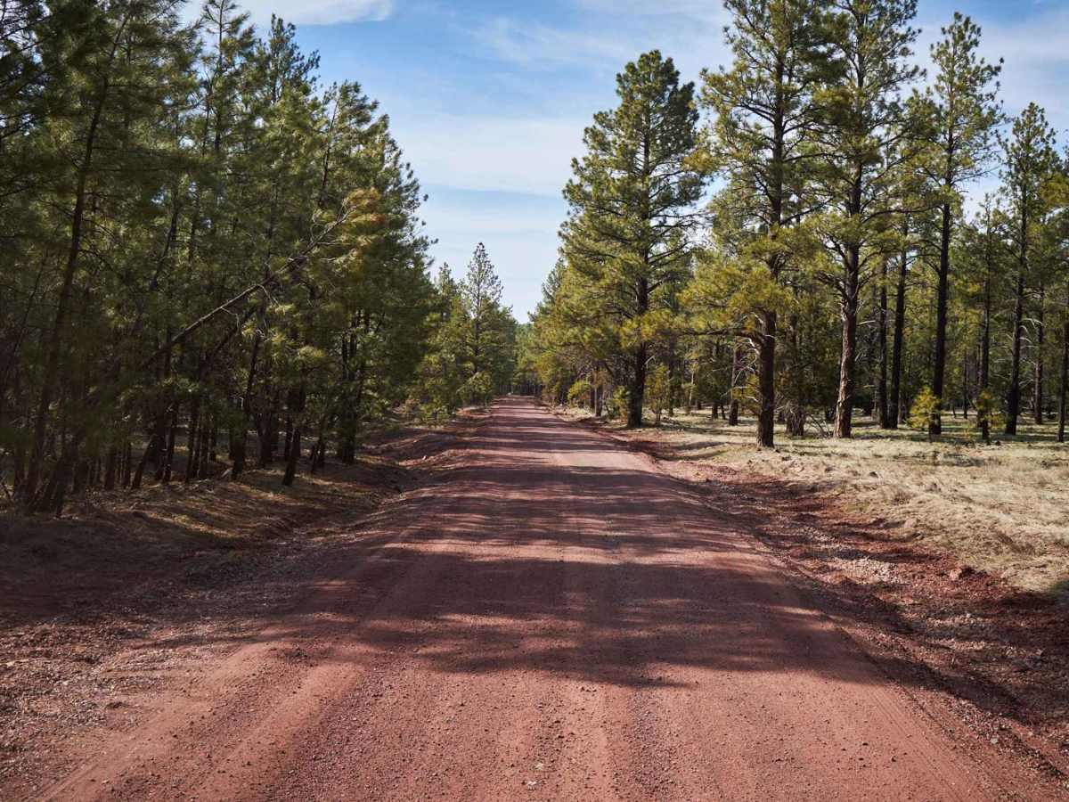 Loop Road N. / 108 photo 6