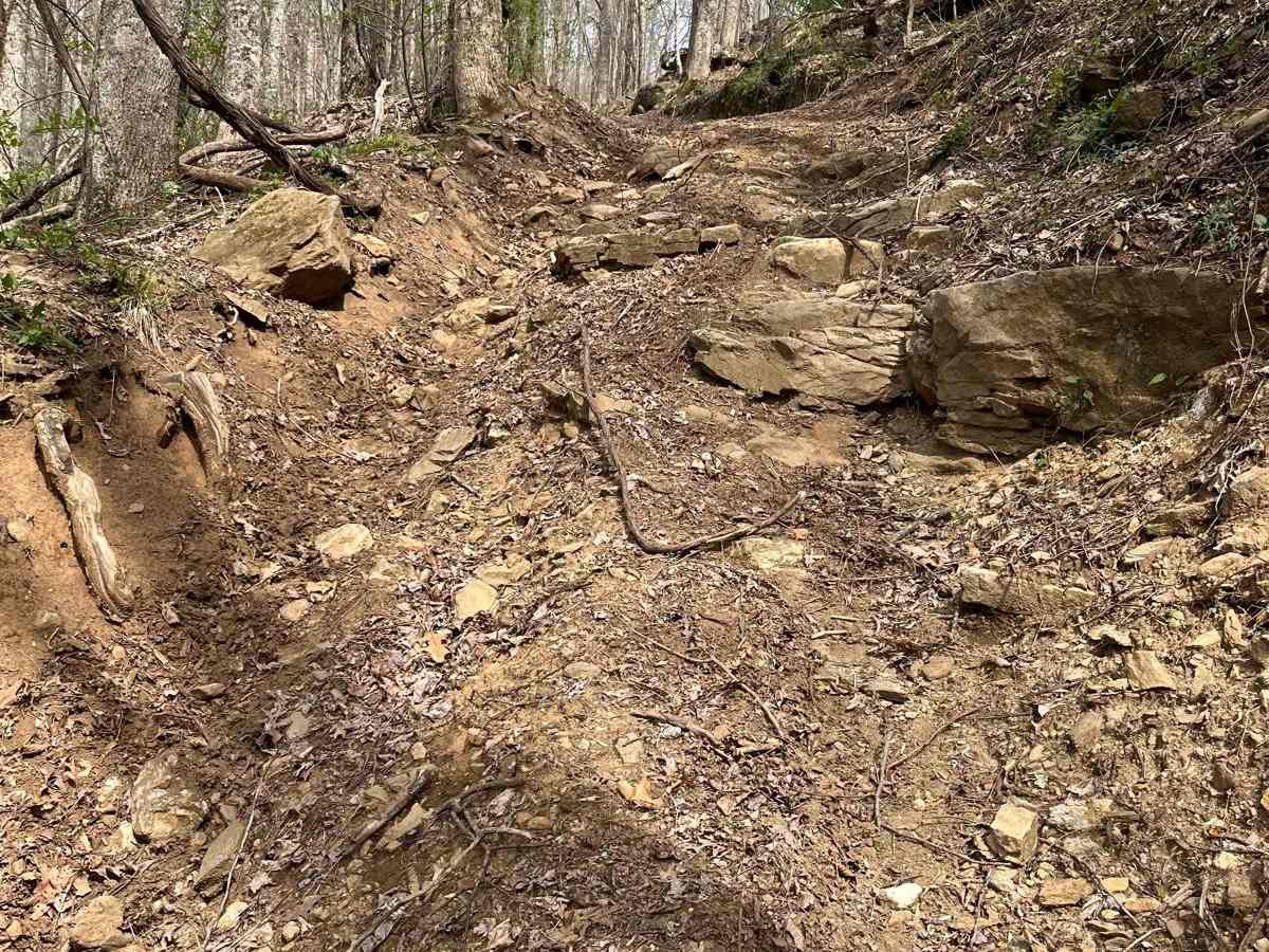 Devil's Backbone - 93B photo 2