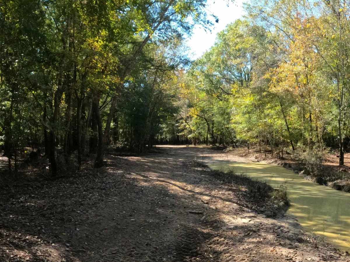 Paradise Way trail photo