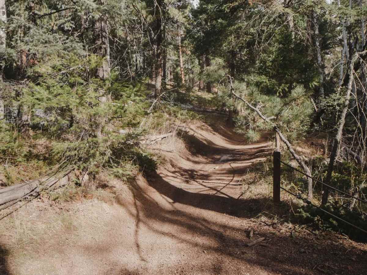 657 Gramps ATV Trail trail photo