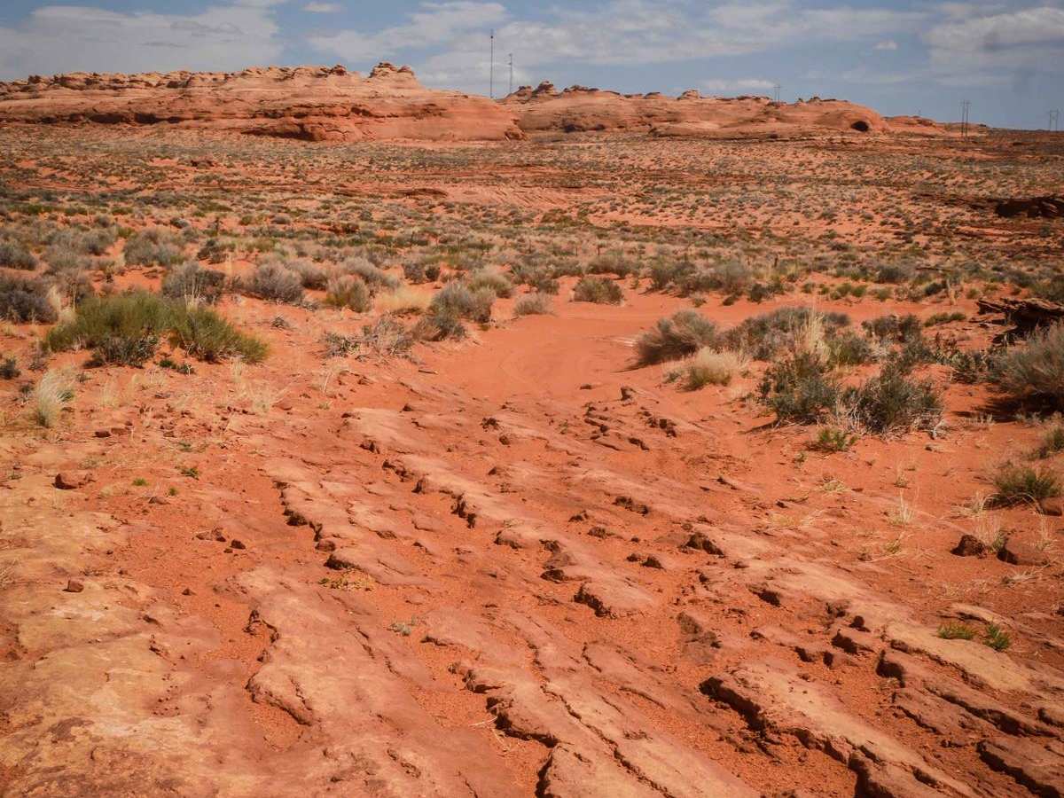 Powerline ORV Loop photo 5