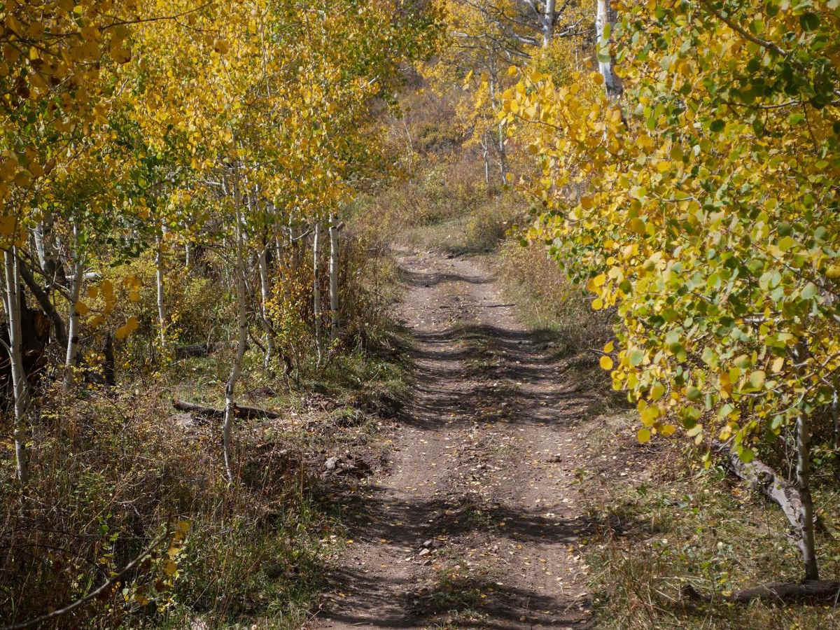 Spring Creek ATV Trail (West) photo 4