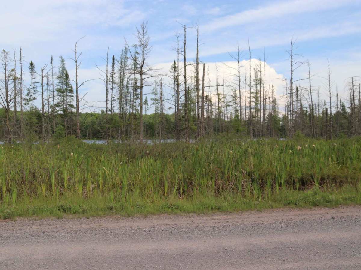 Pike Lake Road photo 5