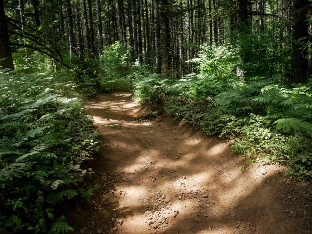 Quarry #44 trail photo