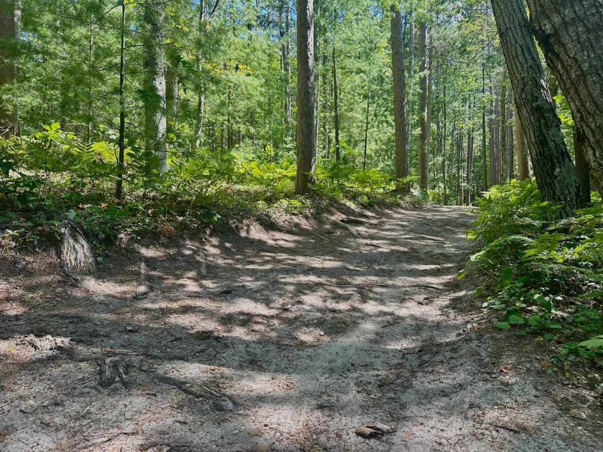Deer Lake Road photo 4