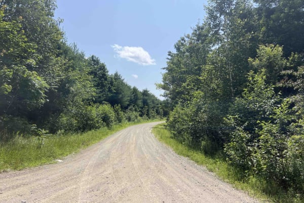 Burrill Woods Road