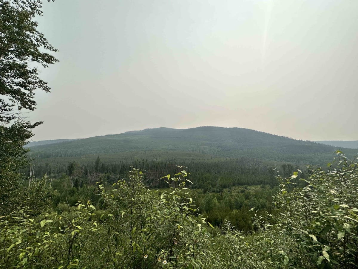 Charcoal Creek FSR photo 6