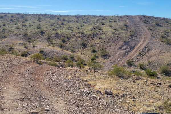AZ Peace Trail Spur to Davis Camp (West)