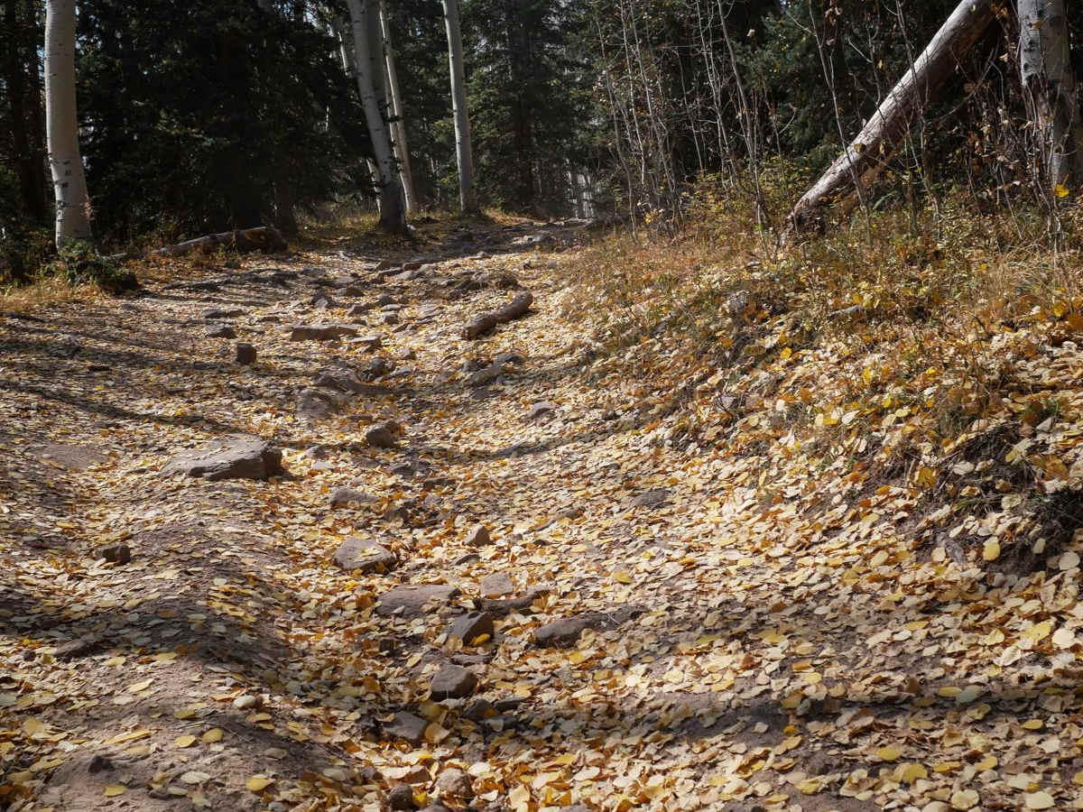 Rim ATV Trail photo 6