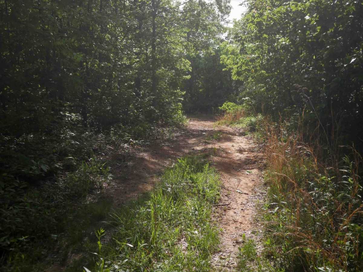 RV20 photo 4