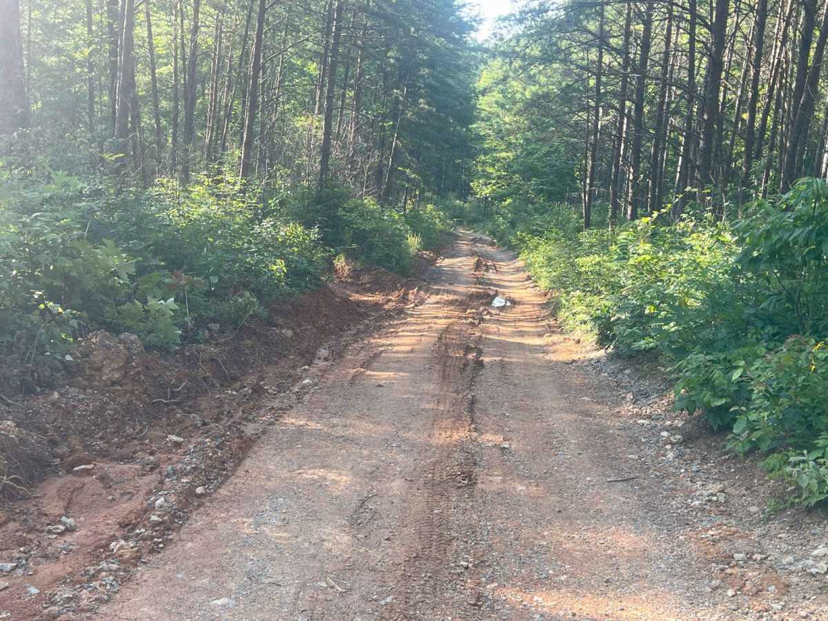 Mount Joy - Forest Road 216 photo 5