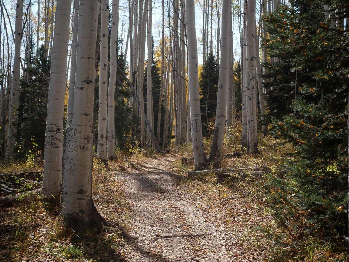 Dry Creek ATV Trail photo 6