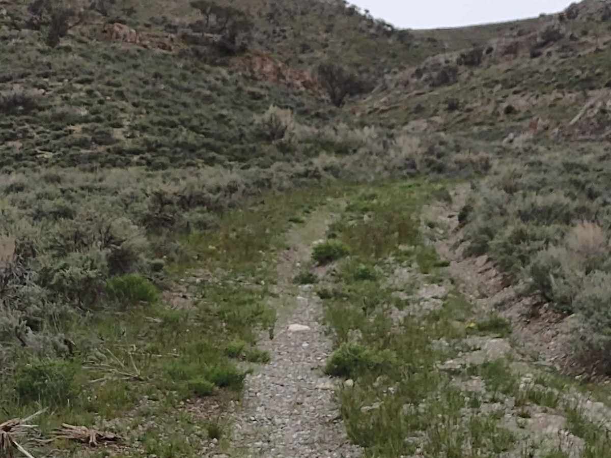 Hammond Canyon Spur photo 4
