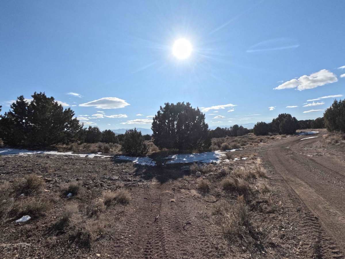 521 trail photo