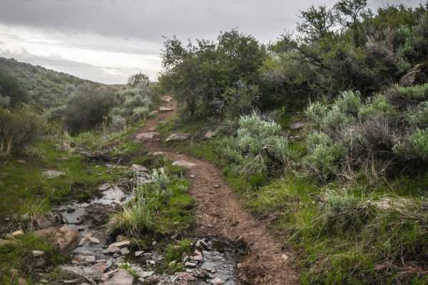 Upper Dry Gulch