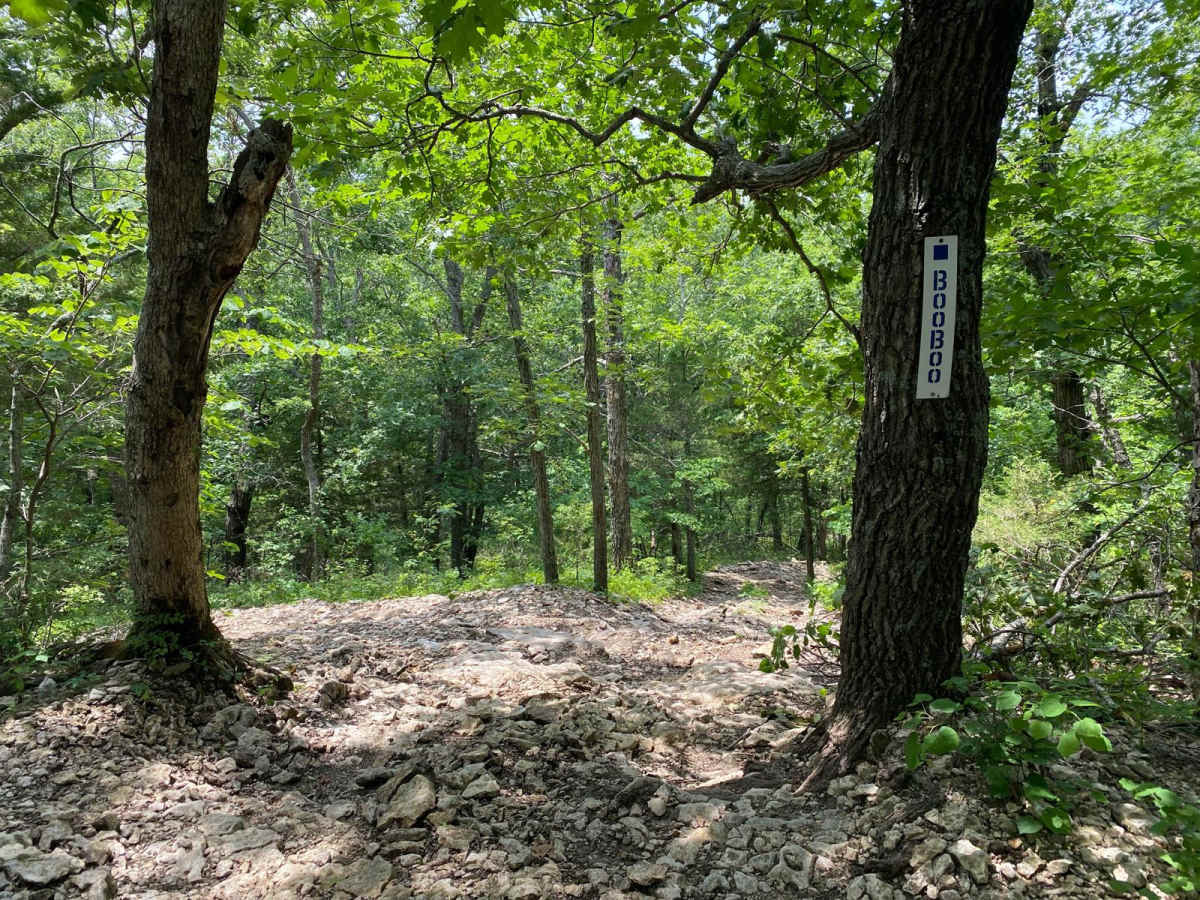 Boo Boo trail photo