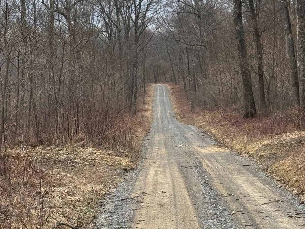 Eddy Ridge Road photo 6