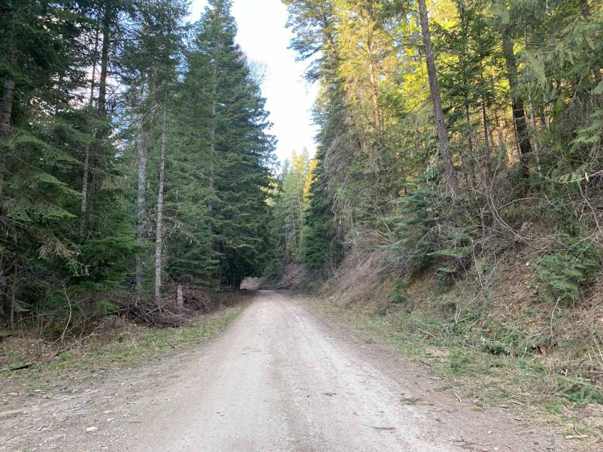 Brown Creek/Downy Creek (207) photo 2