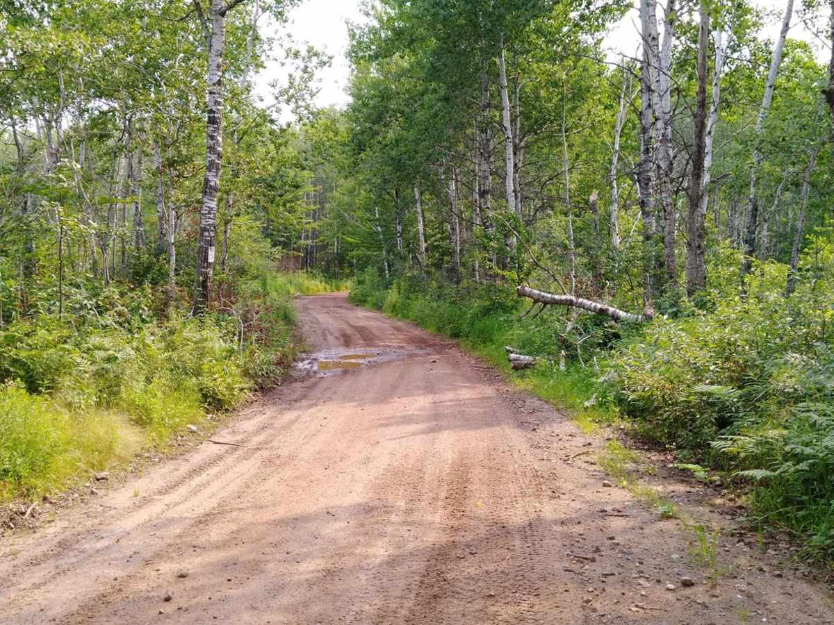 Emily - Blind Lake Trail - East 106 photo 4