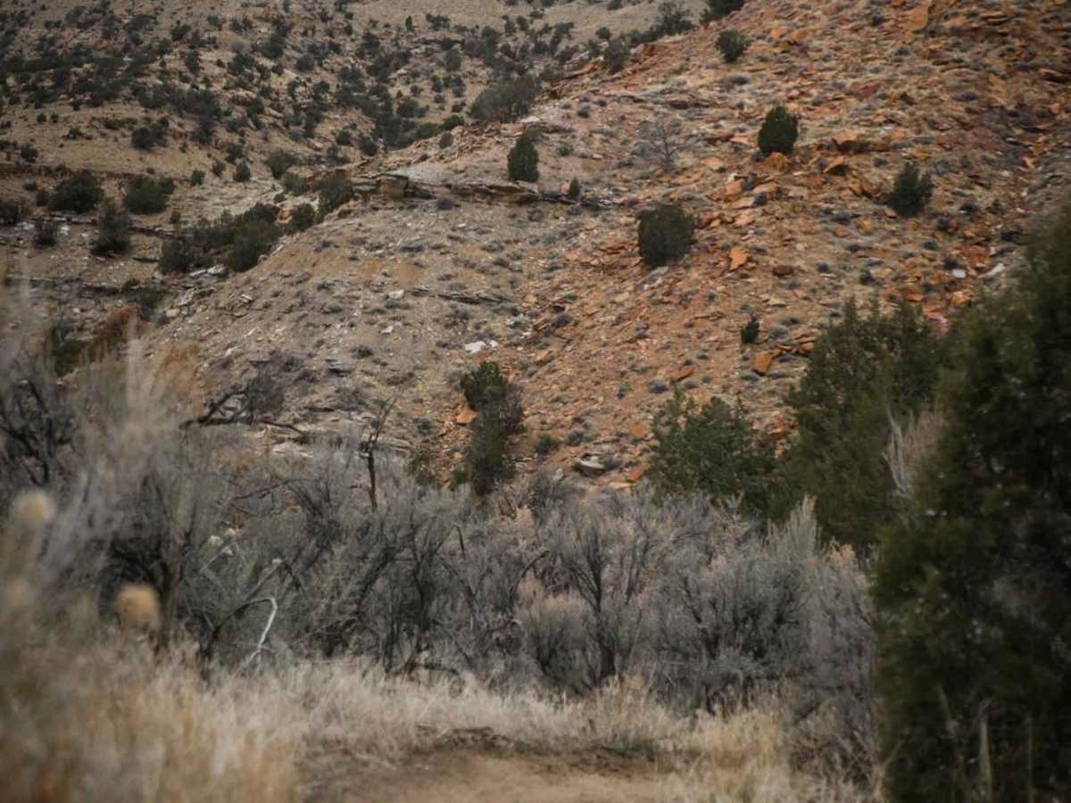 Lane Mine photo 3