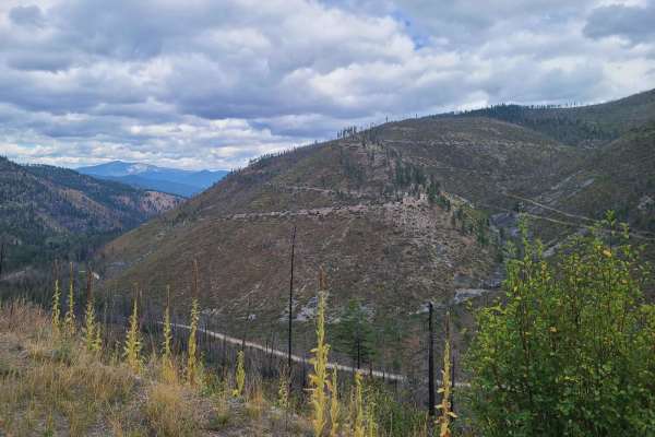 Bemish Ridge - FS 7583