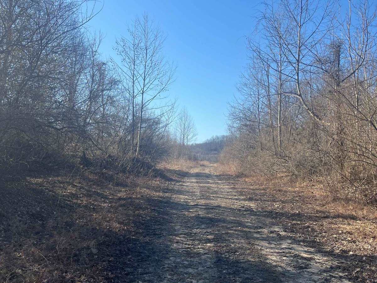 Trail 33 photo 4