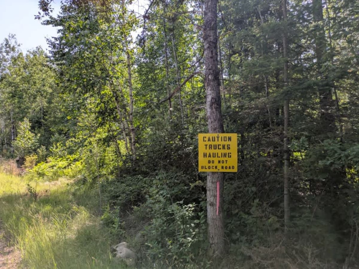 West Branch Trail photo 2