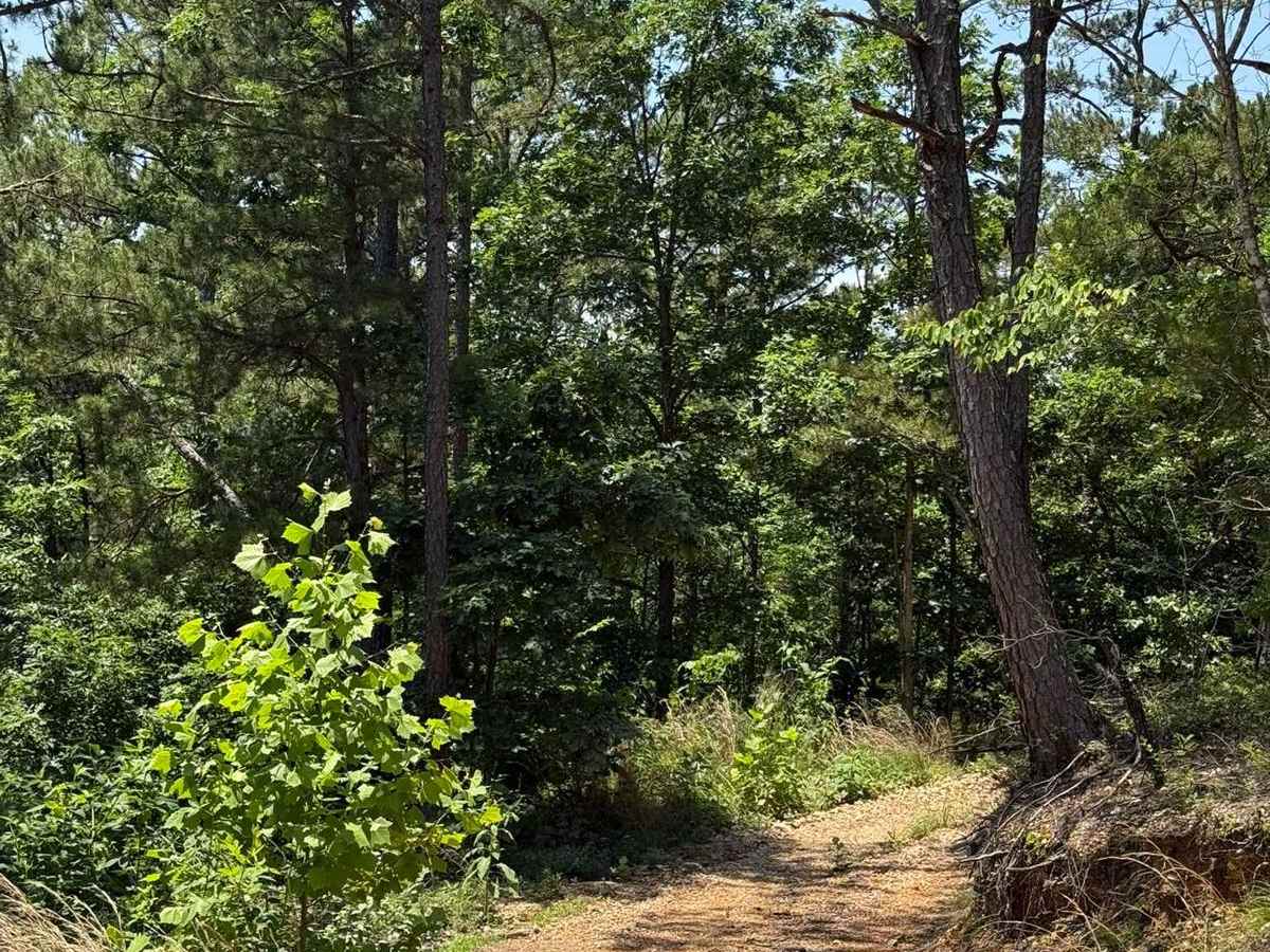 Hunter's Trail photo 5