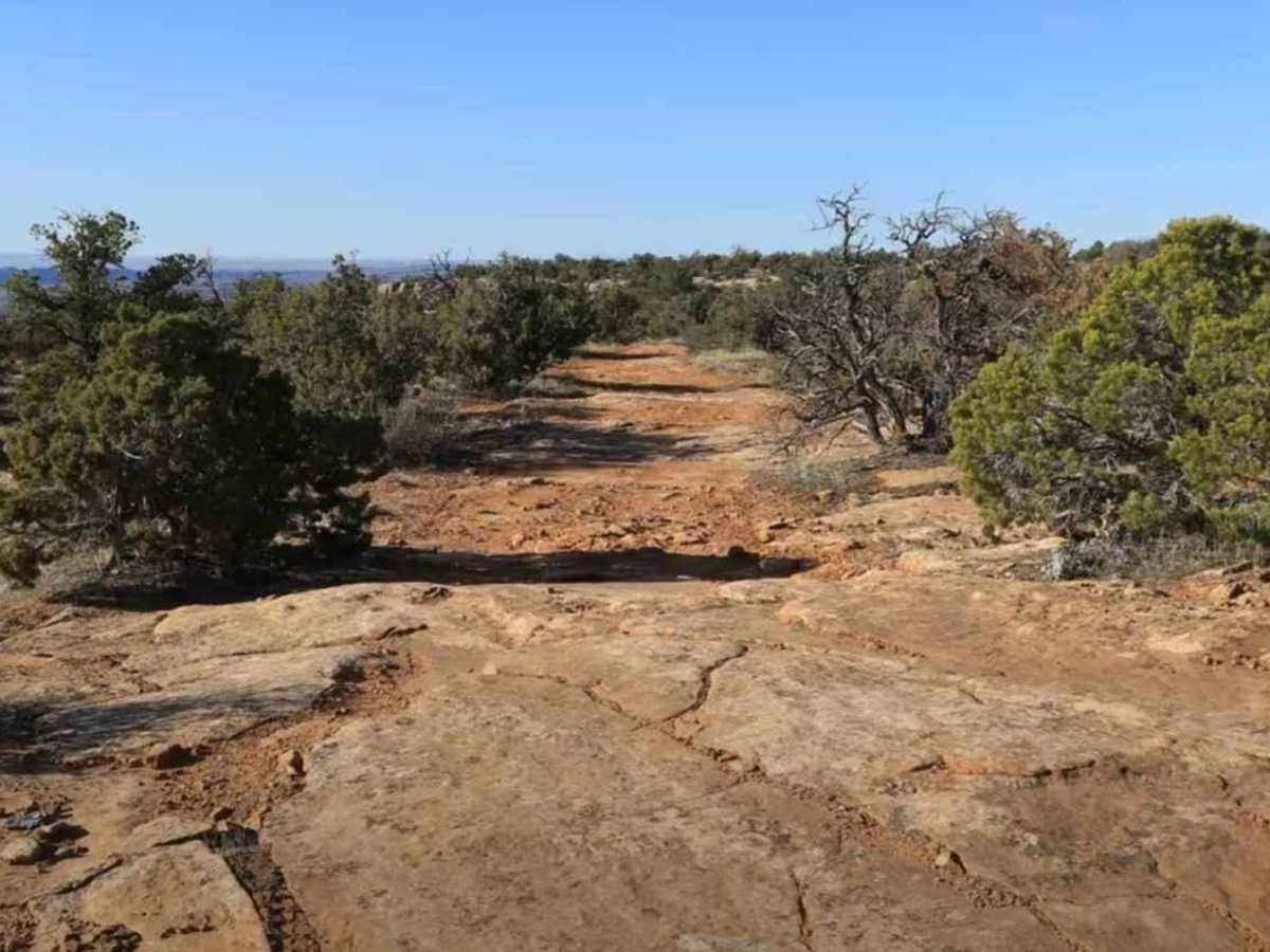 Baulie's Road - San Juan County B236 photo 5