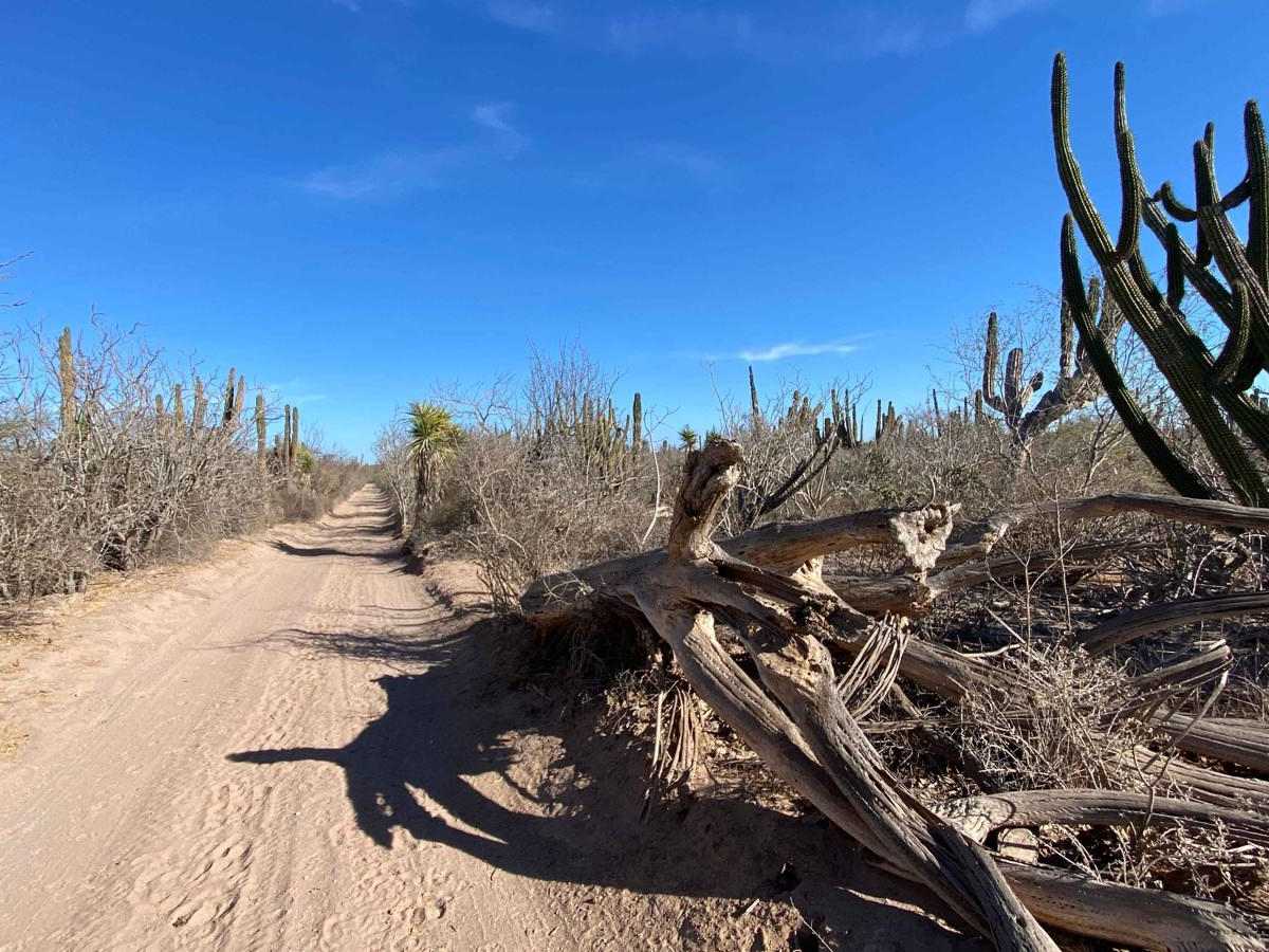 Dos Ranchos Loop photo 4