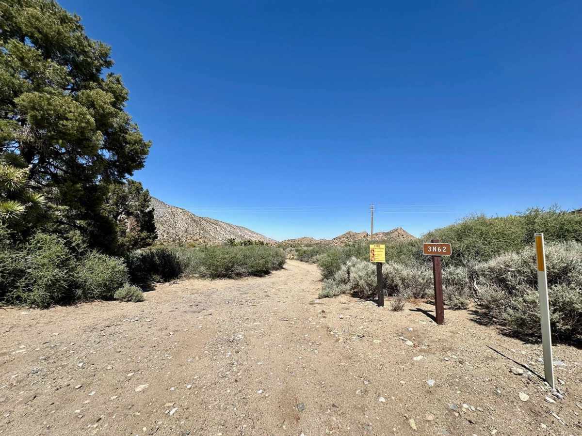 Cactus Flat - 3N62 photo 2