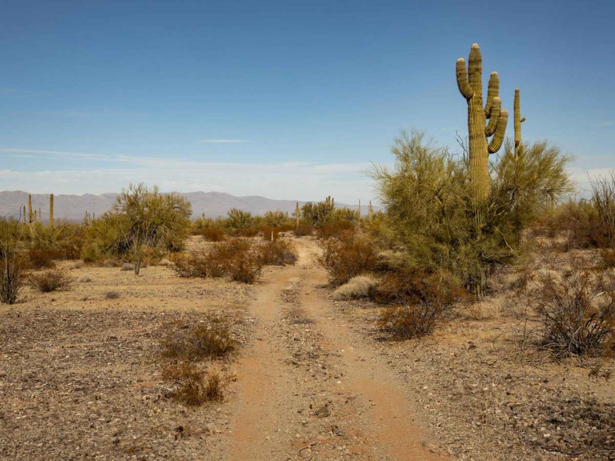21183 Trail photo 2