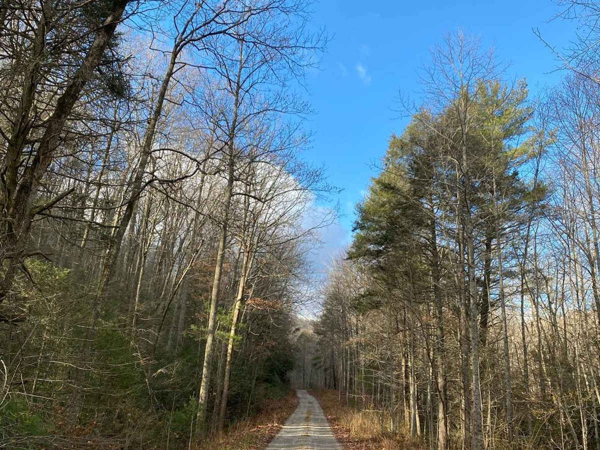 FSR 72 Long Run Road photo 4
