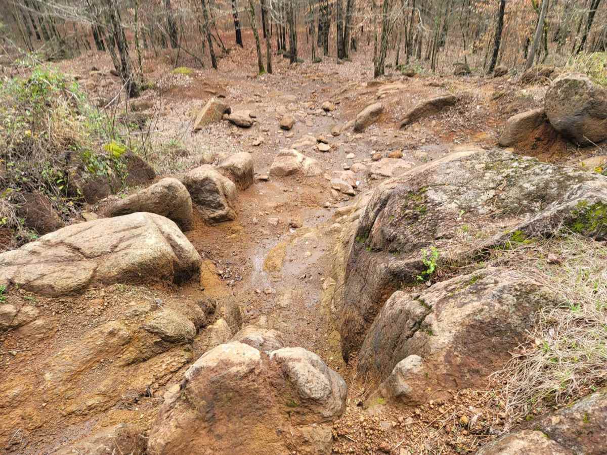 Copperhead photo 6