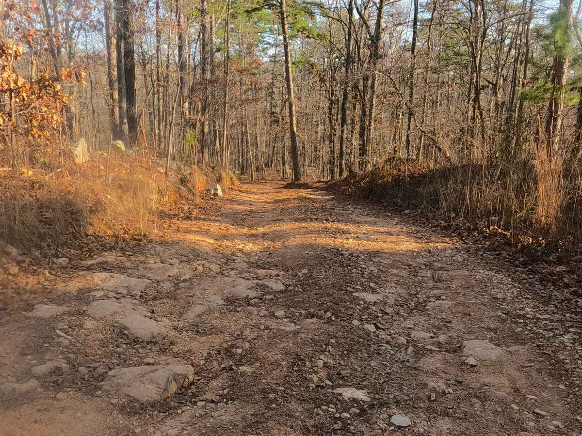 Mid Ridge Road photo 4