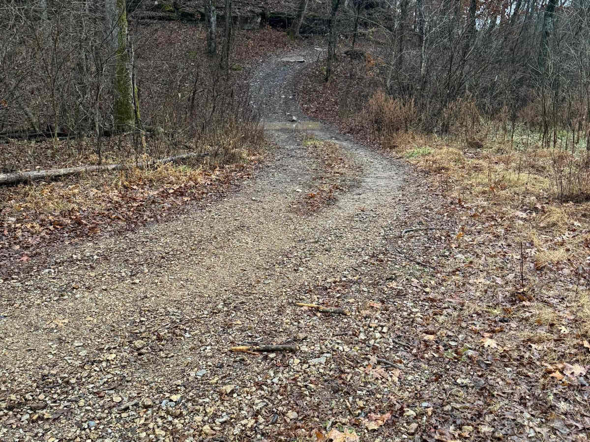 Yellow 296 trail photo